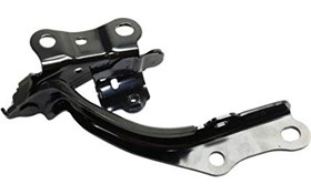 კაპოტის პეტლები