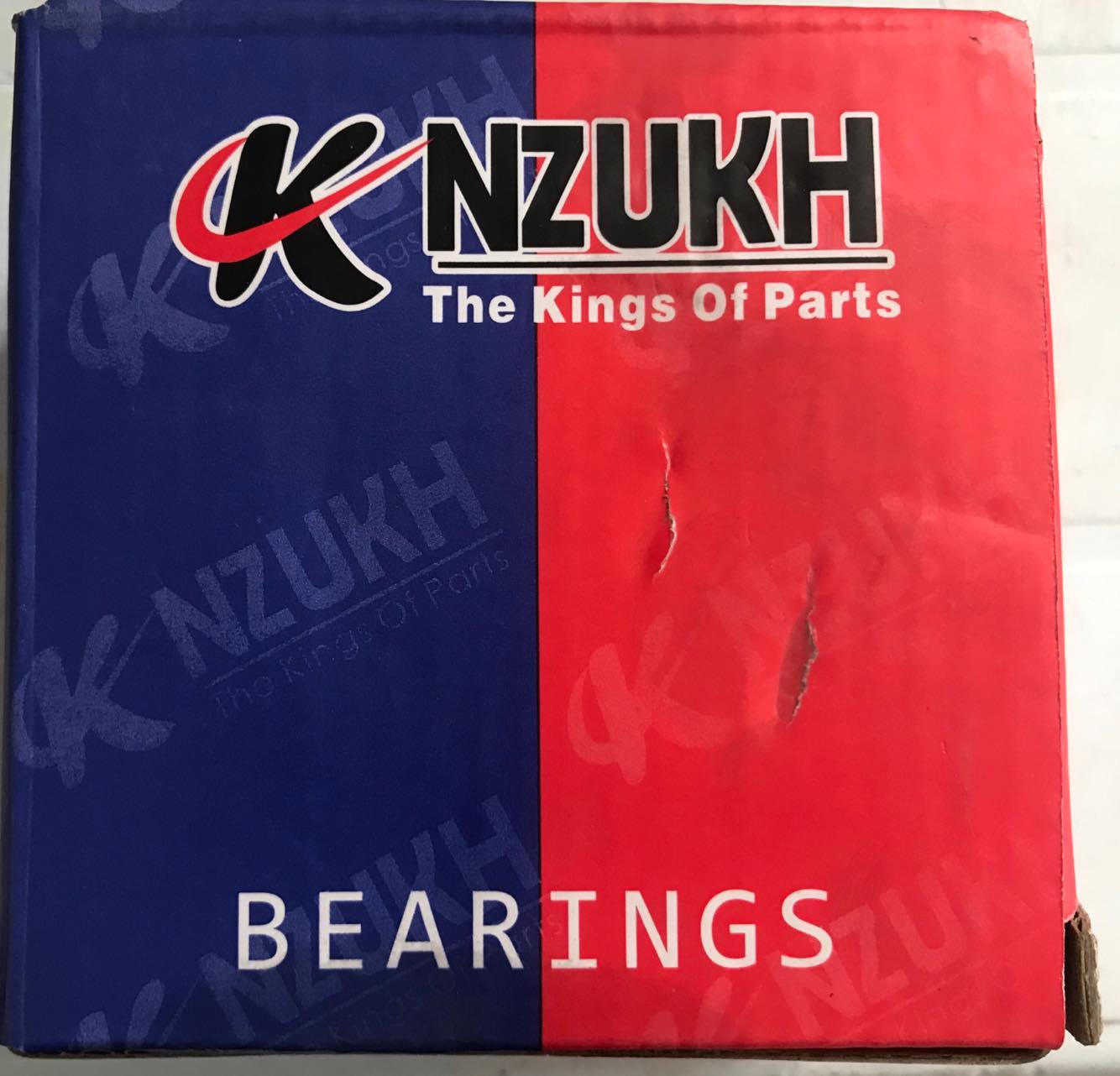 უკანა სტუპიცის პაჩევნიკი